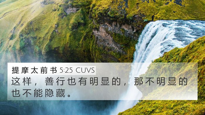 提 摩 太 前 书 5:25 CUVS Bible Verse Image