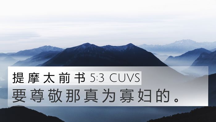 提 摩 太 前 书 5:3 CUVS Bible Verse Image