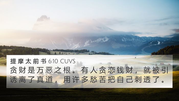 提 摩 太 前 书 6:10 CUVS Bible Verse Image
