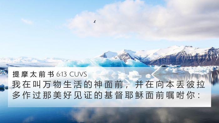 提 摩 太 前 书 6:13 CUVS Bible Verse Image