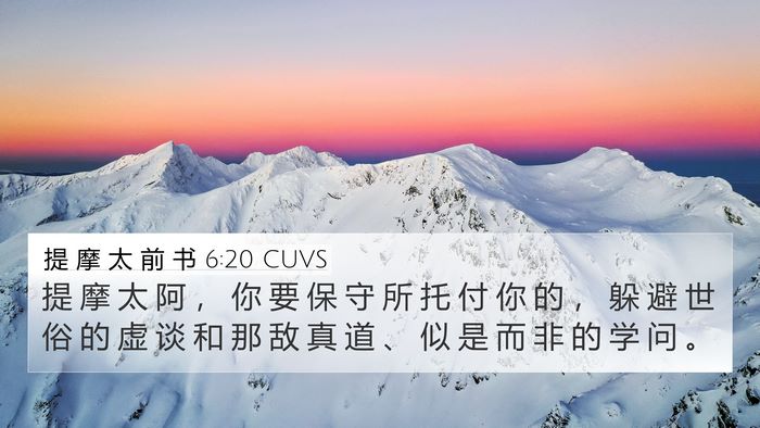 提 摩 太 前 书 6:20 CUVS Bible Verse Image