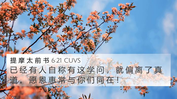 提 摩 太 前 书 6:21 CUVS Bible Verse Image
