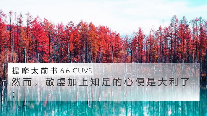 提 摩 太 前 书 6:6 CUVS Bible Verse Image