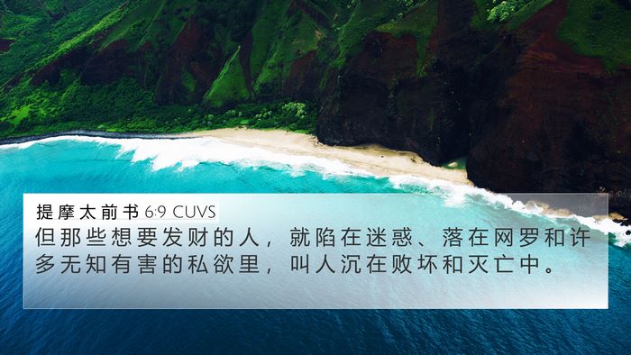 提 摩 太 前 书 6:9 CUVS Bible Verse Image
