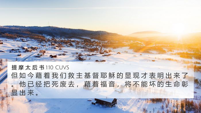 提 摩 太 后 书 1:10 CUVS Bible Verse Image