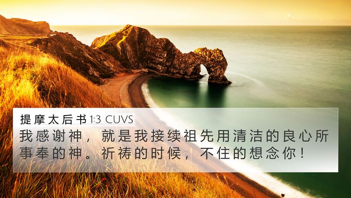 提 摩 太 后 书 1:3 CUVS Bible Verse Image