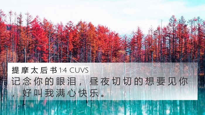 提 摩 太 后 书 1:4 CUVS Bible Verse Image