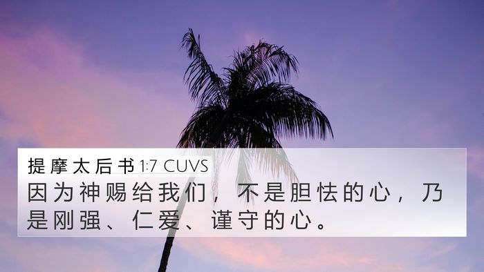 提 摩 太 后 书 1:7 CUVS 4K Wallpaper - 因 为 神 赐 给 我 们 ， 不 是 胆 怯 - 4K Wallpaper Bible Verse