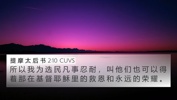提 摩 太 后 书 2:10 CUVS Bible Verse Image