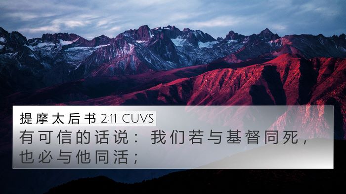 提 摩 太 后 书 2:11 CUVS Bible Verse Image