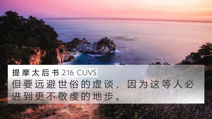 提 摩 太 后 书 2:16 CUVS Bible Verse Image