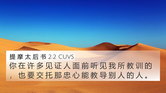 提 摩 太 后 书 2:2 CUVS Bible Verse Image