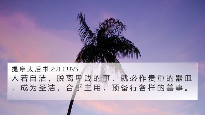 提 摩 太 后 书 2:21 CUVS Bible Verse Image