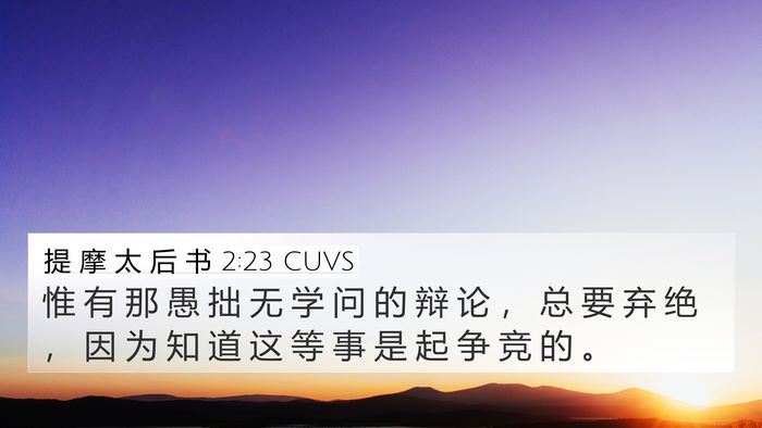 提 摩 太 后 书 2:23 CUVS Bible Verse Image