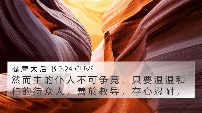 提 摩 太 后 书 2:24 CUVS Bible Verse Image