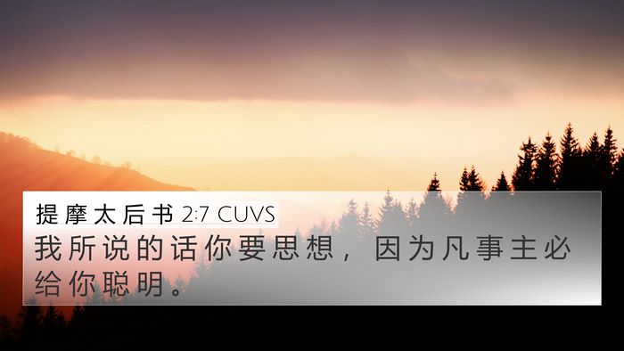 提 摩 太 后 书 2:7 CUVS 4K Wallpaper - 我 所 说 的 话 你 要 思 想 ， 因 为 - 4K Wallpaper Bible Verse
