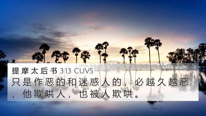 提 摩 太 后 书 3:13 CUVS Bible Verse Image