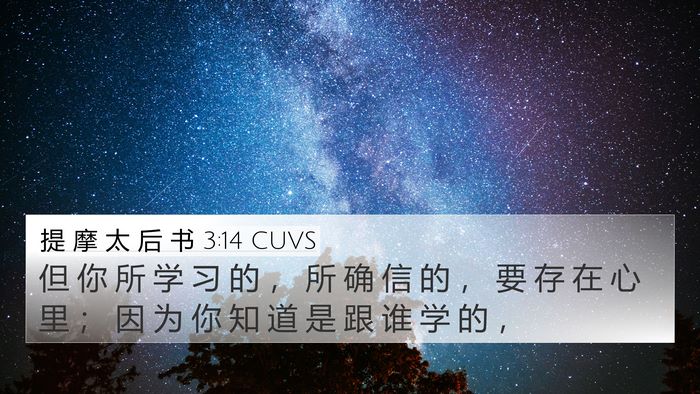 提 摩 太 后 书 3:14 CUVS Bible Verse Image