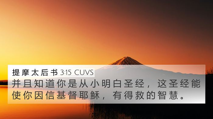提 摩 太 后 书 3:15 CUVS Bible Verse Image