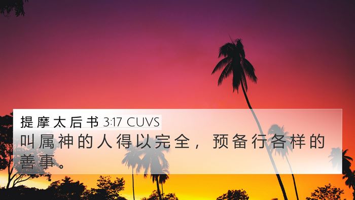 提 摩 太 后 书 3:17 CUVS Bible Verse Image