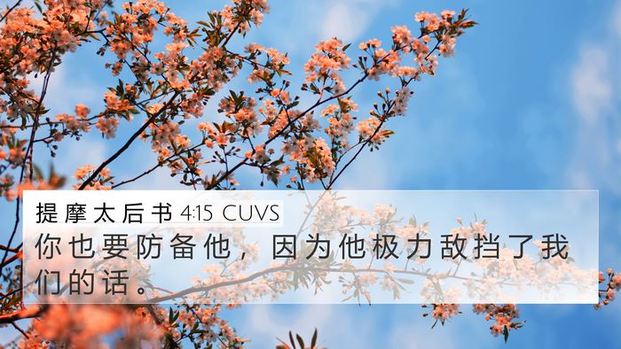 提 摩 太 后 书 4:15 CUVS Bible Verse Image