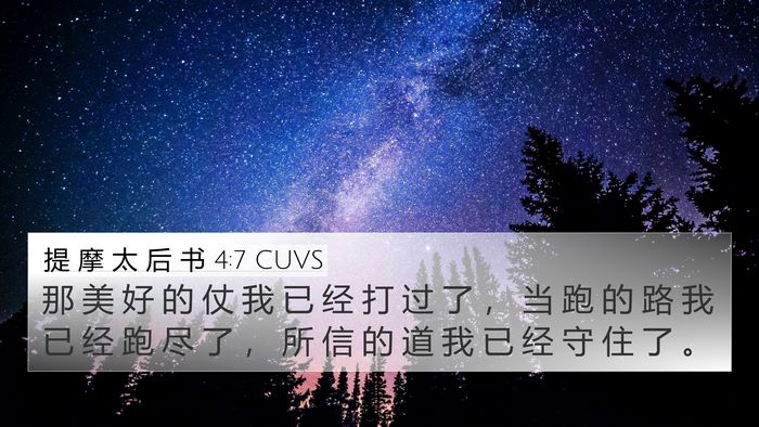 提 摩 太 后 书 4:7 CUVS Bible Verse Image