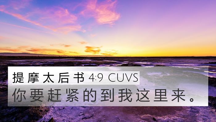 提 摩 太 后 书 4:9 CUVS 4K Wallpaper - 你 要 赶 紧 的 到 我 这 里 来 - 4K Wallpaper Bible Verse