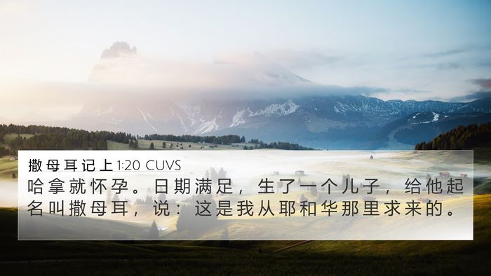 撒 母 耳 记 上 1:20 CUVS Bible Verse Image