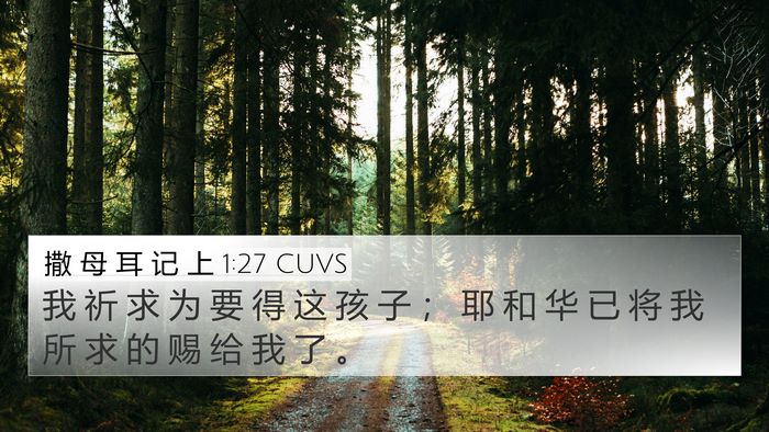 撒 母 耳 记 上 1:27 CUVS Bible Verse Image