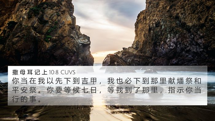撒 母 耳 记 上 10:8 CUVS Bible Verse Image