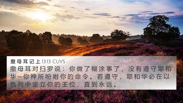 撒 母 耳 记 上 13:13 CUVS Bible Verse Image