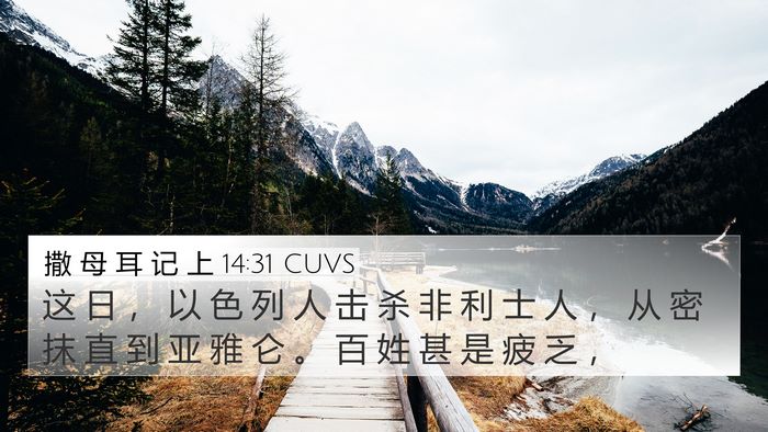 撒 母 耳 记 上 14:31 CUVS Bible Verse Image