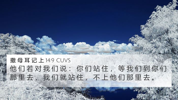 撒 母 耳 记 上 14:9 CUVS Bible Verse Image