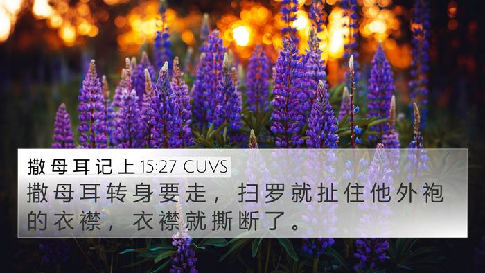 撒 母 耳 记 上 15:27 CUVS Bible Verse Image
