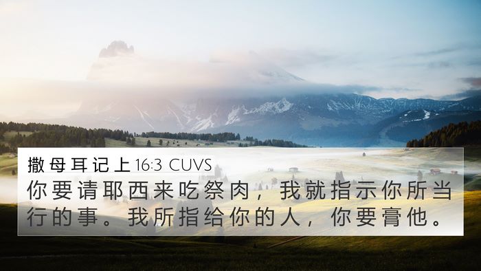 撒 母 耳 记 上 16:3 CUVS Bible Verse Image