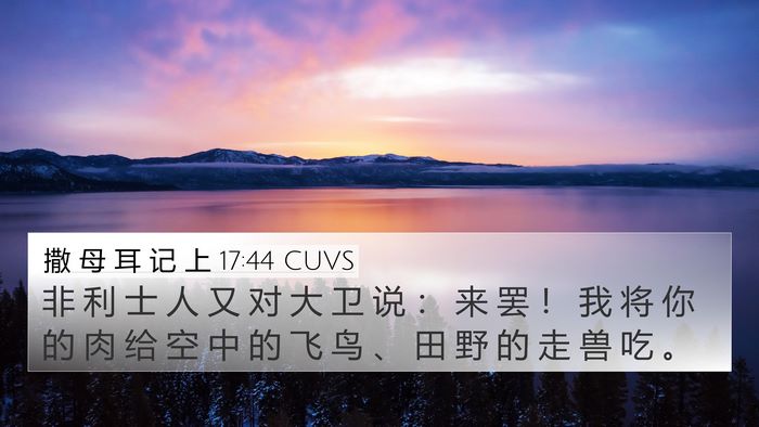 撒 母 耳 记 上 17:44 CUVS Bible Verse Image