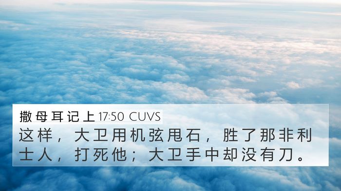撒 母 耳 记 上 17:50 CUVS Bible Verse Image