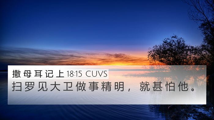 撒 母 耳 记 上 18:15 CUVS Bible Verse Image