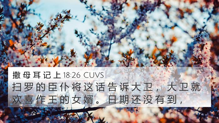 撒 母 耳 记 上 18:26 CUVS 4K Wallpaper - 扫 罗 的 臣 仆 将 这 话 告 诉 大 卫 - 4K Wallpaper Bible Verse