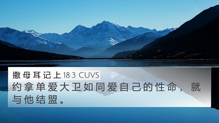 撒 母 耳 记 上 18:3 CUVS Bible Verse Image