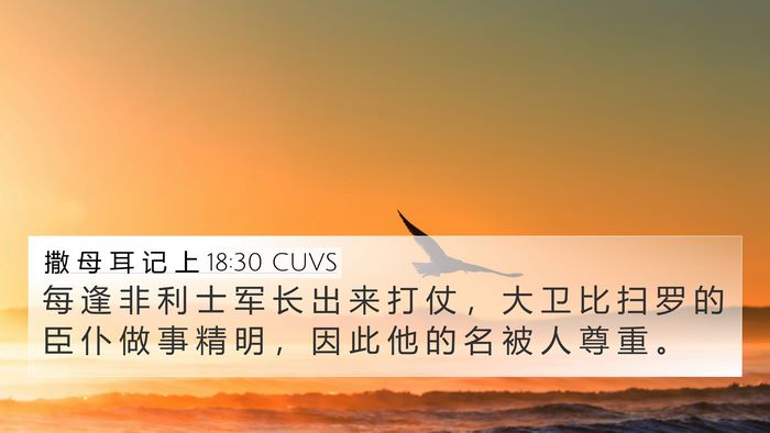 撒 母 耳 记 上 18:30 CUVS Bible Verse Image