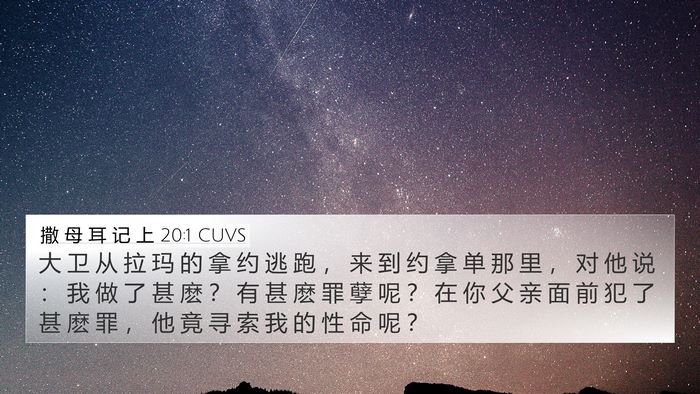 撒 母 耳 记 上 20:1 CUVS Bible Verse Image
