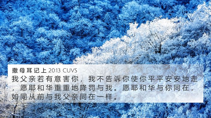 撒 母 耳 记 上 20:13 CUVS Bible Verse Image