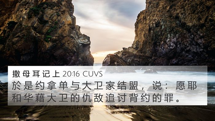 撒 母 耳 记 上 20:16 CUVS Bible Verse Image