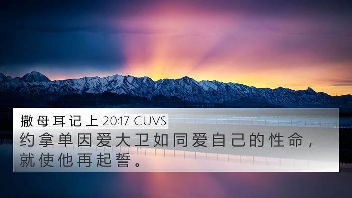撒 母 耳 记 上 20:17 CUVS Bible Verse Image
