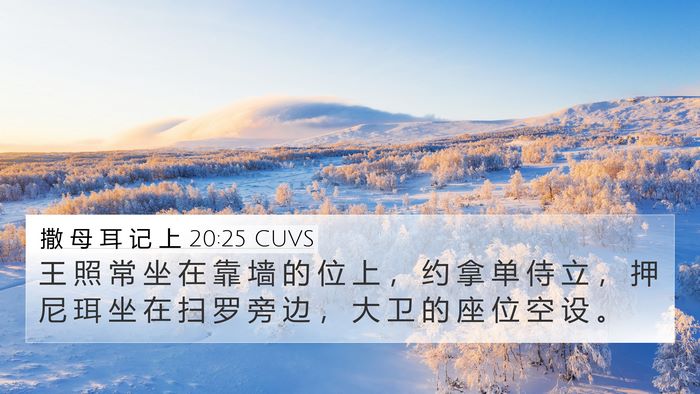 撒 母 耳 记 上 20:25 CUVS Bible Verse Image