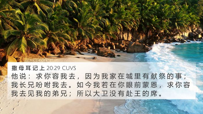 撒 母 耳 记 上 20:29 CUVS Bible Verse Image