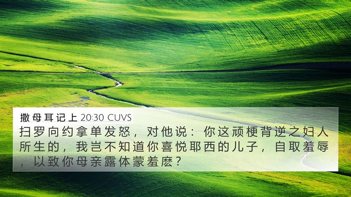 撒 母 耳 记 上 20:30 CUVS Bible Verse Image