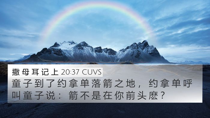 撒 母 耳 记 上 20:37 CUVS Bible Verse Image