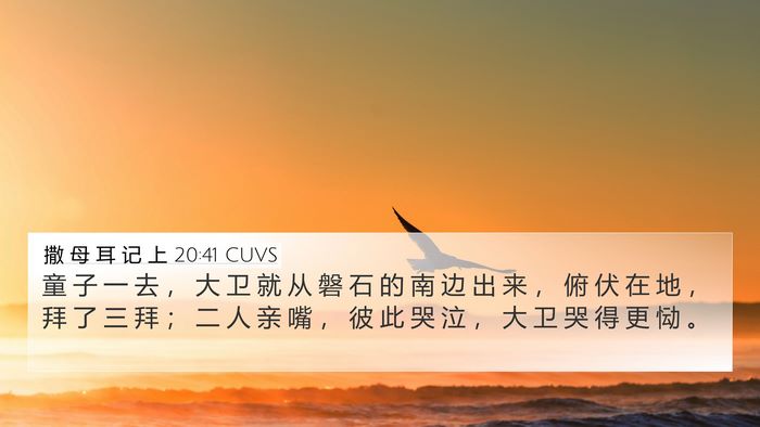 撒 母 耳 记 上 20:41 CUVS Bible Verse Image